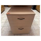 Rolling two drawer filing cabinet
