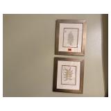 Framed botanical art prints (2)