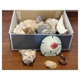 Box of rocks, sea shells, geodes