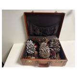 Vintage suicase, pinecones
