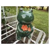 Garden frog