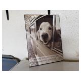 "Where You Go, I Will Go" dog picture