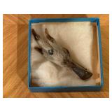 Taxidermy claw brooch