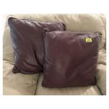 Throw pillows (2)