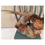 Feather wreath