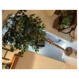 Western 3 gallon crock, ficus tree
