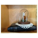 Dried rose cloche, doilie, Sunday Missal