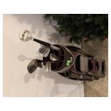 Golf clubs, Master Grip golf bag