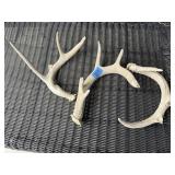 Deer sheds (3)