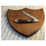1981 CASE COLLECTOR CLUB KNIFE, wall display