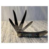 CASE XX  840096 SS knife
