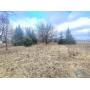 MINIMUM BID AUCTION $99,000! 3425 PLUMEY RD