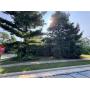 MINIMUM BID AUCTION $25,000! 1441 Maumee St