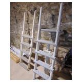 pool ladder (over the side)