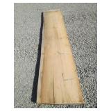 pine live edge slab B