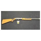 Winchester Mod 290  22SLR