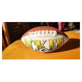 Packers football
