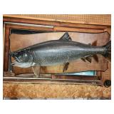 mtd fish, approx 34"