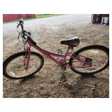 Trek girls bike