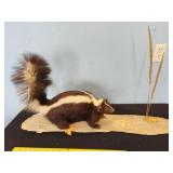 stuffed skunk on driftwood