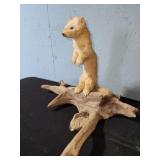 stuffed white weasel