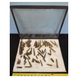 ammo variety in display case