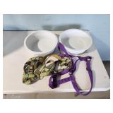 dog dishes and leashes