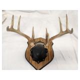 big mtd deer antlers