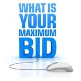 MAXIMUM BID