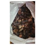2 boxes of small craft pinecones 2 boxes of small craft pinecones