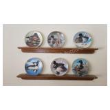 6 waterfowl collector plates - Nature
