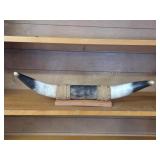 Large Mounted Polished Bull Horns Wall