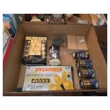 Large Lot of Decorative & Specialty Lighting ï¿½