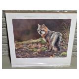 A Hint of Gray Fox Print - Kim Diment