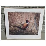 Stepping Out Pheasant Print - Roma Forgie