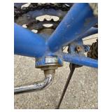 Roadmaster Mount Fury mountain bike with high and