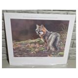 A Hint of Gray Fox Print - Kim Diment