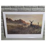 November 14th Whitetail Deer Print - John K.