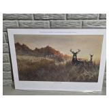 November 14th Whitetail Deer Print - John K.