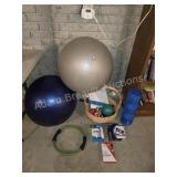 Large assortment of fitness items