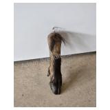 Taxidermy Wildlife Hoof Display Piece