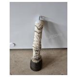 Zebra Taxidermy Hoof Display Piece