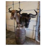 WILDEBEEST PEDESTAL BARREL MOUNT DISPLAY