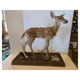 WHITETAIL DEER FAWN FULL BODY TAXIDERMY MOUNT