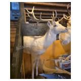 WHITE LEUCISTIC FALLOW DEER WALL TAXIDERMY