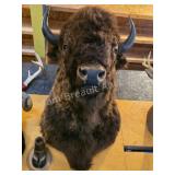 AMERICAN BISON TAXIDERMY SHOULDER MOUNT WITH HOOF
