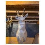 PRONGHORN ANTELOPE TAXIDERMY SHOULDER MOUNT