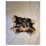 Partial Four horned sheep hide