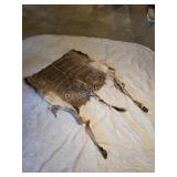 Partial Kudu animal hide with hooves