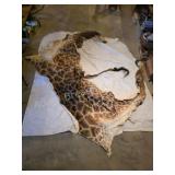 Giraffe partial animal hide with hooves